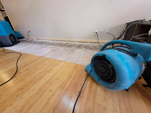 Professional Ceiling Water Damage Repair technician working in Riverton, UT
